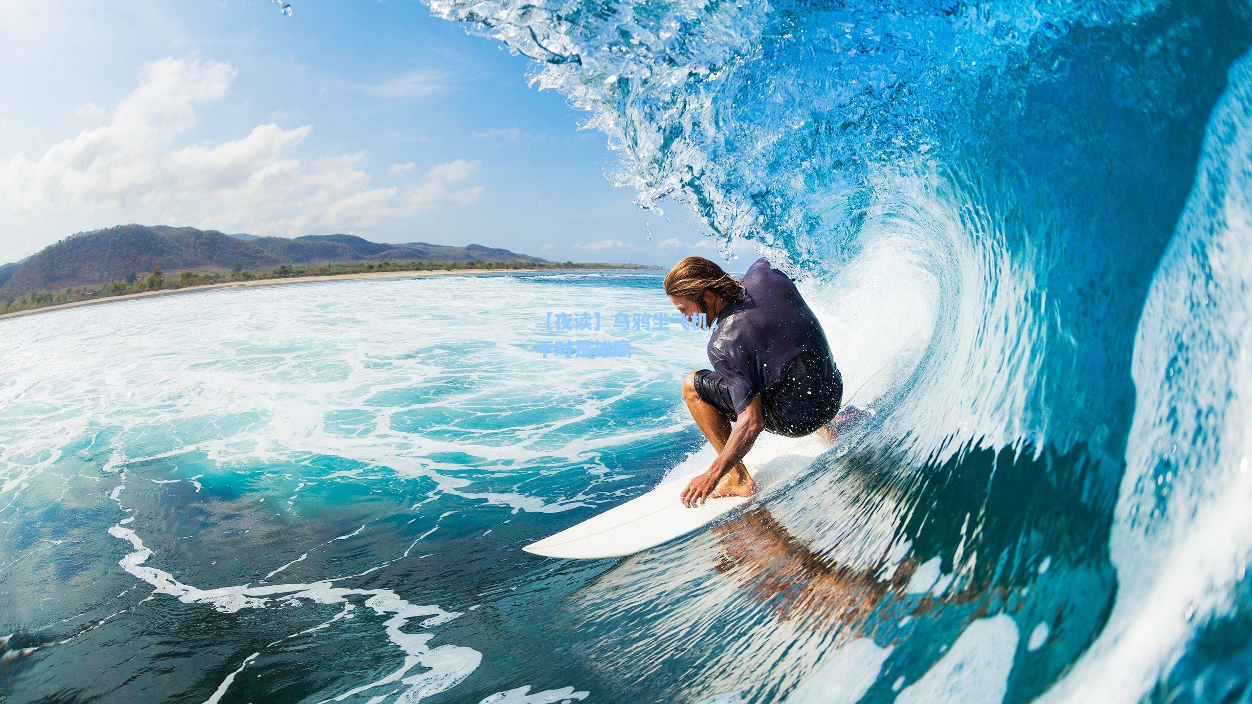 【夜读】乌鸦坐飞机,不对是雄鹰