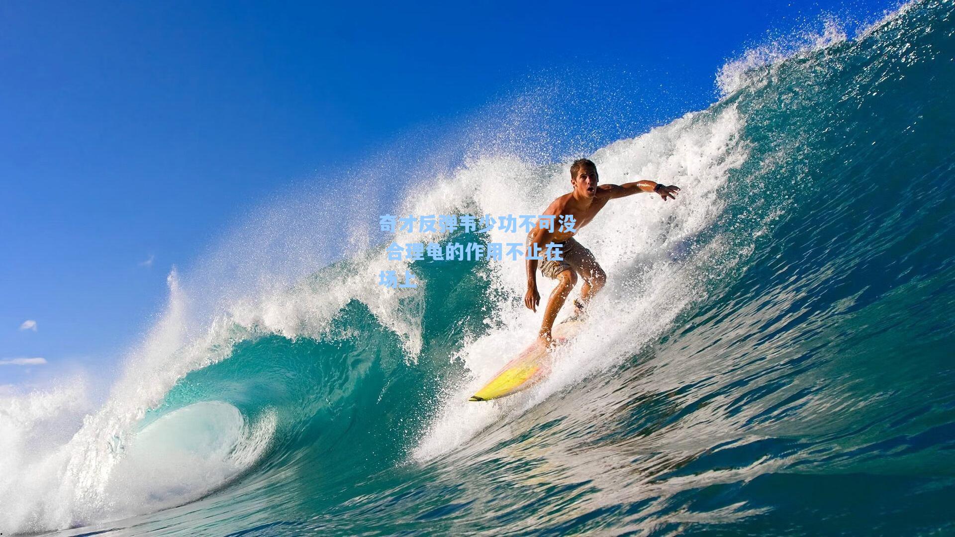 奇才反弹韦少功不可没 合理龟的作用不止在场上